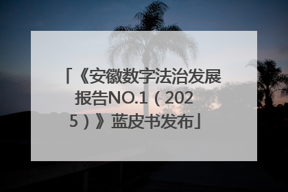 《安徽数字法治发展报告NO.1（2025）》蓝皮书发布