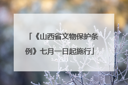 《山西省文物保护条例》七月一日起施行