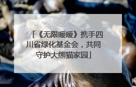 《无限暖暖》携手四川省绿化基金会，共同守护大熊猫家园