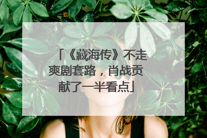 《藏海传》不走爽剧套路，肖战贡献了一半看点