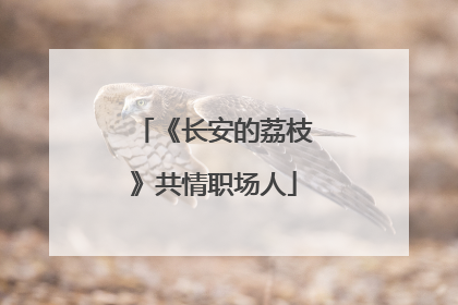 《长安的荔枝》共情职场人
