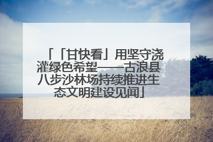 「甘快看」用坚守浇灌绿色希望——古浪县八步沙林场持续推进生态文明建设见闻