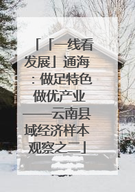 「一线看发展」通海：做足特色 做优产业——云南县域经济样本观察之二