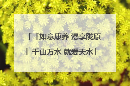 「如意康养 漫享陇原」千山万水 就爱天水