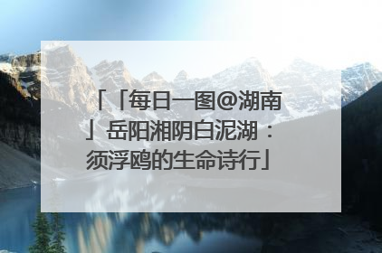 「每日一图@湖南」岳阳湘阴白泥湖：须浮鸥的生命诗行