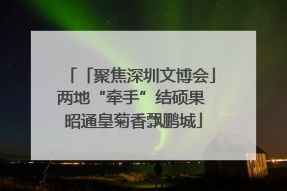 「聚焦深圳文博会」两地“牵手”结硕果 昭通皇菊香飘鹏城