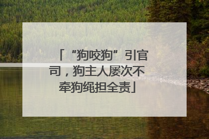 “狗咬狗”引官司，狗主人屡次不牵狗绳担全责