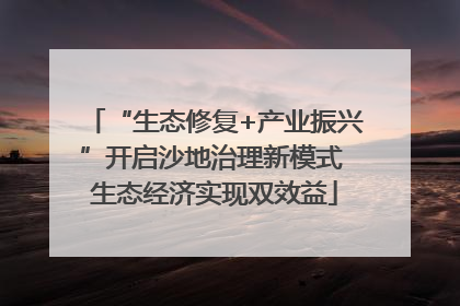 “生态修复+产业振兴”开启沙地治理新模式 生态经济实现双效益