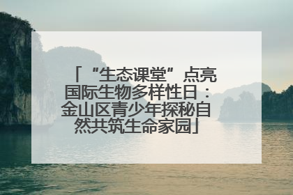 “生态课堂”点亮国际生物多样性日：金山区青少年探秘自然共筑生命家园