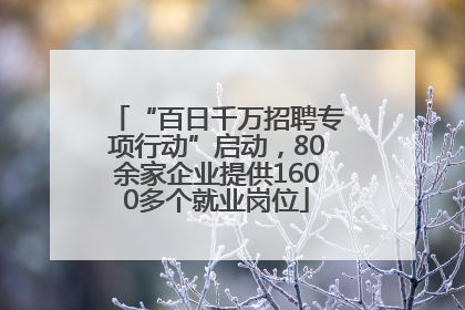 “百日千万招聘专项行动”启动，80余家企业提供1600多个就业岗位