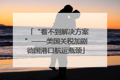 “看不到解决方案”——美国关税加剧德国港口航运瓶颈