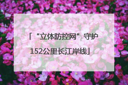 “立体防控网”守护152公里长江岸线