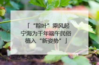 “粽叶”乘风起 宁海为千年端午民俗植入“新姿势”