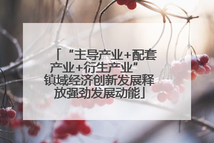 “主导产业+配套产业+衍生产业” 镇域经济创新发展释放强劲发展动能