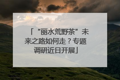 “丽水荒野茶”未来之路如何走？专题调研近日开展
