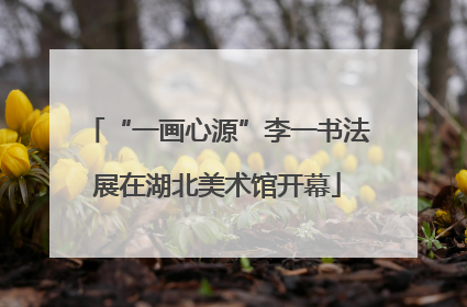 “一画心源”李一书法展在湖北美术馆开幕