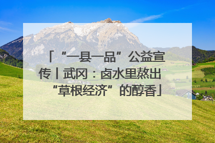 “一县一品”公益宣传丨武冈：卤水里熬出“草根经济”的醇香