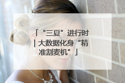 “三夏”进行时｜大数据化身“精准割麦机”