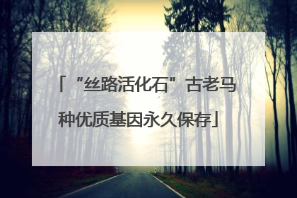“丝路活化石”古老马种优质基因永久保存