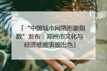 “中国城市网络形象指数”发布：郑州市文化与经济维度表现出色