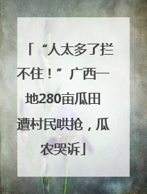 “人太多了拦不住！”广西一地280亩瓜田遭村民哄抢，瓜农哭诉
