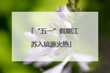 “五一”假期江苏入境游火热