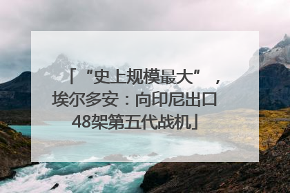 “史上规模最大”，埃尔多安：向印尼出口48架第五代战机
