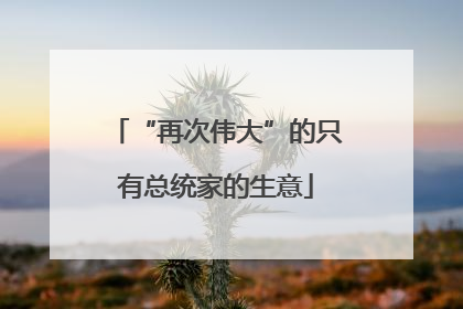 “再次伟大”的只有总统家的生意