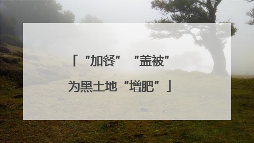 “加餐”“盖被” 为黑土地“增肥”