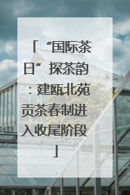 “国际茶日”探茶韵：建瓯北苑贡茶春制进入收尾阶段