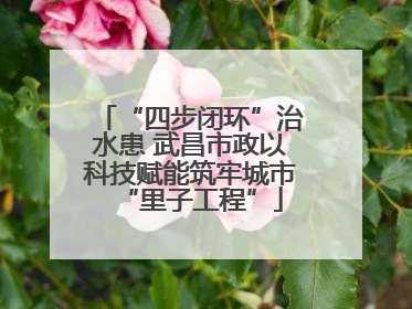 “四步闭环”治水患 武昌市政以科技赋能筑牢城市“里子工程”