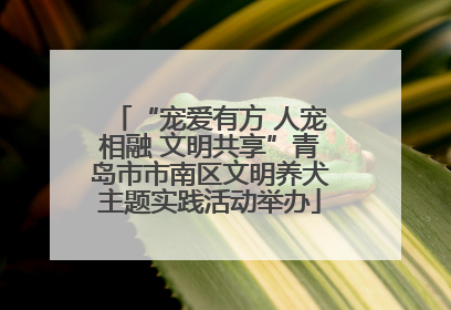 “宠爱有方 人宠相融 文明共享”青岛市市南区文明养犬主题实践活动举办