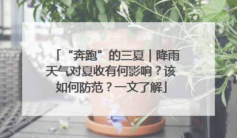 “奔跑”的三夏｜降雨天气对夏收有何影响？该如何防范？一文了解