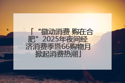 “徽动消费 购在合肥”2025年夜间经济消费季暨66购物月掀起消费热潮
