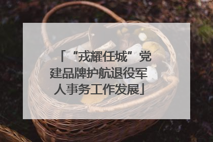 “戎耀任城”党建品牌护航退役军人事务工作发展