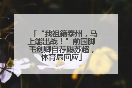 “我祖籍泰州，马上能出战！”前国脚毛剑卿自荐踢苏超，体育局回应