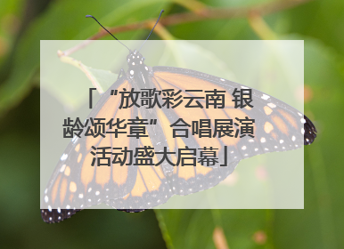 “放歌彩云南 银龄颂华章”合唱展演活动盛大启幕