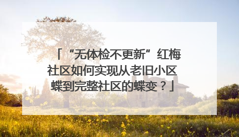 “无体检不更新”红梅社区如何实现从老旧小区蝶到完整社区的蝶变？