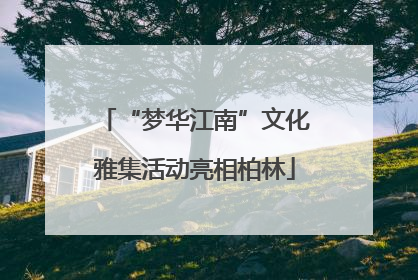 “梦华江南”文化雅集活动亮相柏林