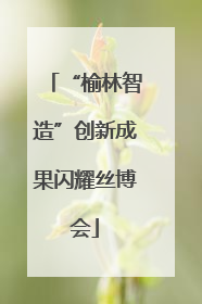 “榆林智造”创新成果闪耀丝博会