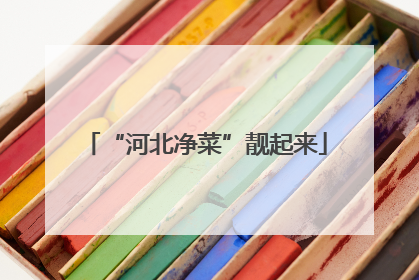 “河北净菜”靓起来