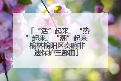 “活”起来、“热”起来、“潮”起来 榆林榆阳区奏响非遗保护三部曲