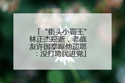 “街头小霸王”林正杰癌逝，老战友许国泰曝他遗愿：没打垮民进党