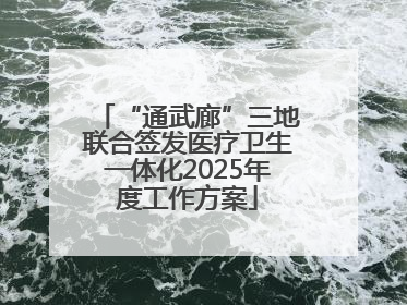 “通武廊”三地联合签发医疗卫生一体化2025年度工作方案