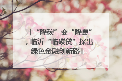 “降碳”变“降息”，临沂“临碳贷”探出绿色金融创新路