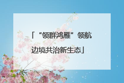 “领群鸿雁”领航边境共治新生态