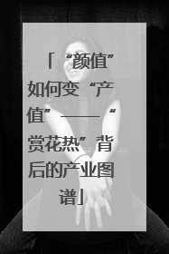 “颜值”如何变“产值”——“赏花热”背后的产业图谱