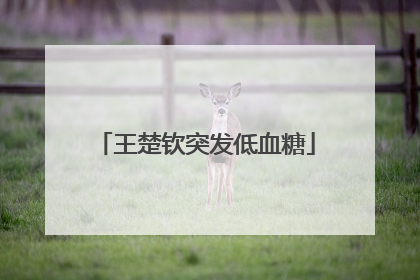 王楚钦突发低血糖