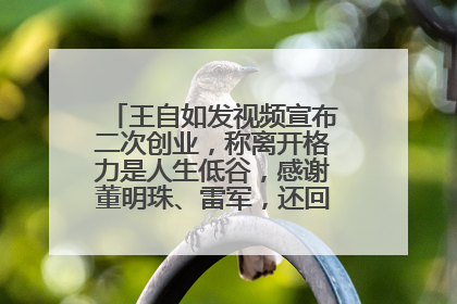 王自如发视频宣布二次创业，称离开格力是人生低谷，感谢董明珠、雷军，还回应了“工资条”：清楚自己要什么……