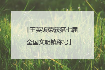 王英镇荣获第七届全国文明镇称号